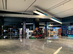 -奥斯卡升龙国际影城(RealD Cinema)