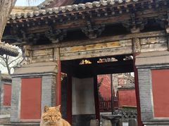 -晋祠公园