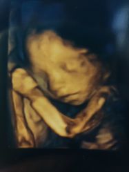 -北京俪婴妇产医院(朝阳大悦城店)