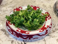 香菜-鲜牛鲜生鲜肉火锅(松隽阳光城店)