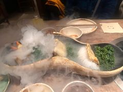 -蘑界·野生菌火锅(深业上城店)