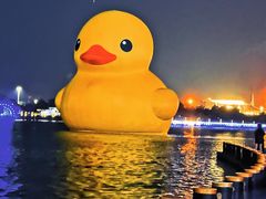 -深圳人才公园
