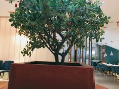 -悦海·家宴·冰花皮皮虾大锅贴(宝龙店)