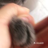 高大上，环境好，价格实惠