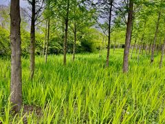 -嘉北郊野公园