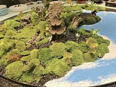 -豫丰汇河南名菜楼(武记餐饮)