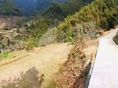 -林坑古村落