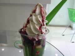 -Salud撒露欧洲冻酸奶(北苑上品店)