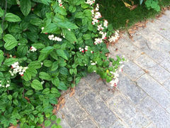 iphone_upload_pic-华侨大学(厦门校区)