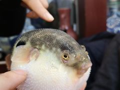 -观桥阁(锦溪店)