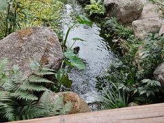 -凤凰山斑鱼馆(恭城店)