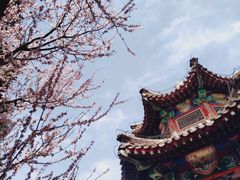 -颐和园