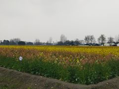 -中国天府农业博览园