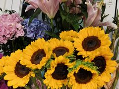 -FEI FEI FLOWER鲜花店·气球派对·宝宝宴布置(虹口德必运动Loft店)