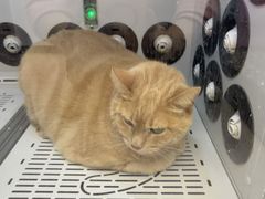 -FAELING PETS美天灵宠物(富力广场店)
