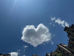 -老六杀猪菜(进乡街店)