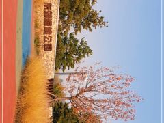 -东郊湿地公园