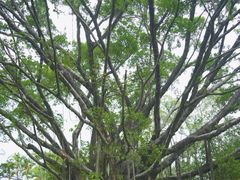 -人民公园(罗湖区)