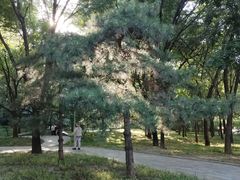 -南长河公园
