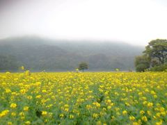 android_upload_pic-广州市石门国家森林公园