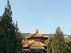 -龙口南山旅游景区