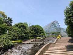 -南山植物园