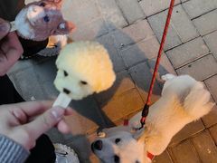 -大象厨房(重庆道店)