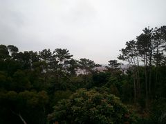 -仙岳公园