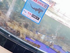 -亚龙湾亚泰商业街