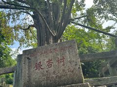 -上海佘山国家森林公园天马山园