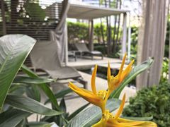 -新加坡泛太平洋酒店