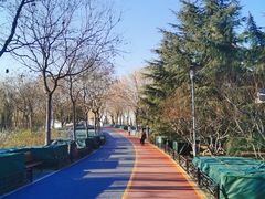 -大兴滨河森林公园