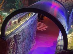 -沈阳海洋探索中心