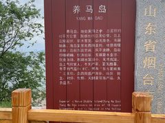 -养马岛旅游度假区