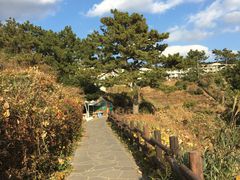 -龙头岩(Dragon Head Rock)