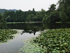 -茅家埠