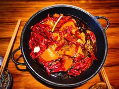 -阳阳老火锅(小南门店)