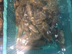 海大大&nbsp;蒸汽海鲜主题餐厅-海大大蒸汽海鲜餐厅·粤菜·特色小炒(欢乐颂店)