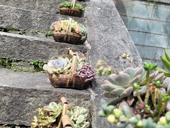 -寂照庵