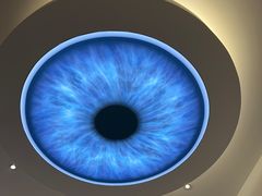 -宝岛眼镜(北京亚运村旗舰店)