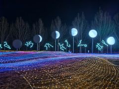 -淄博花灯齐彩城