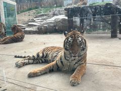 -长江路历史文化街区