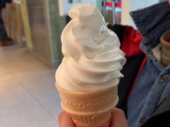 -麦当劳(农光里店)