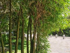 -深圳湾公园(南山区)
