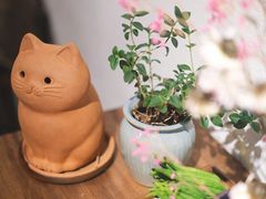 -朴物良社(东明锦园店)
