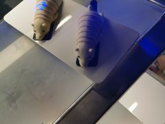 -上海海昌海洋公园-冰山北极馆