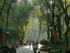 -邓小平故里