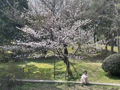 -堤角公园