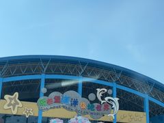 -泉城欧乐堡海洋极地世界