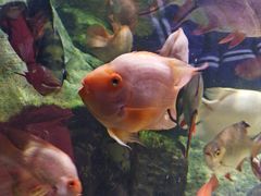 -太平洋海底世界